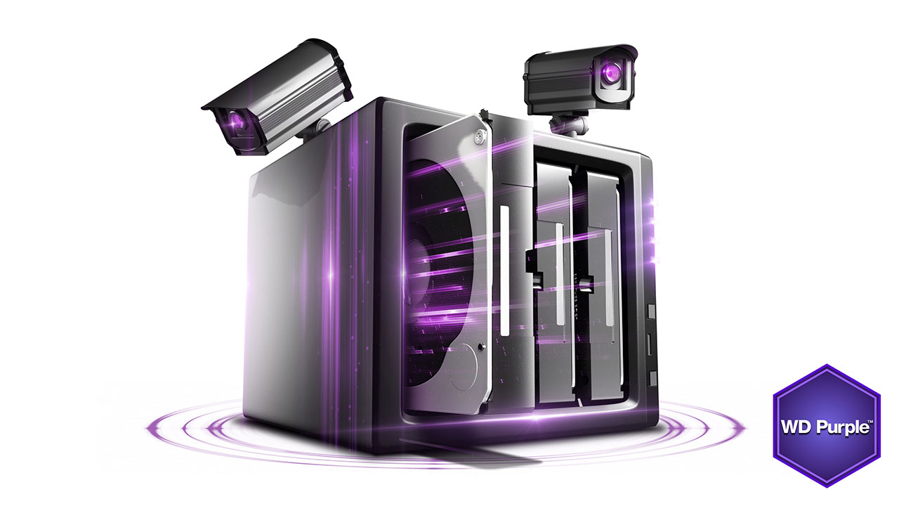 wd-purple-01